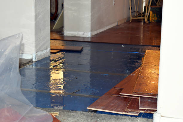 Professional Structural Drying technician working in Block Island, RI